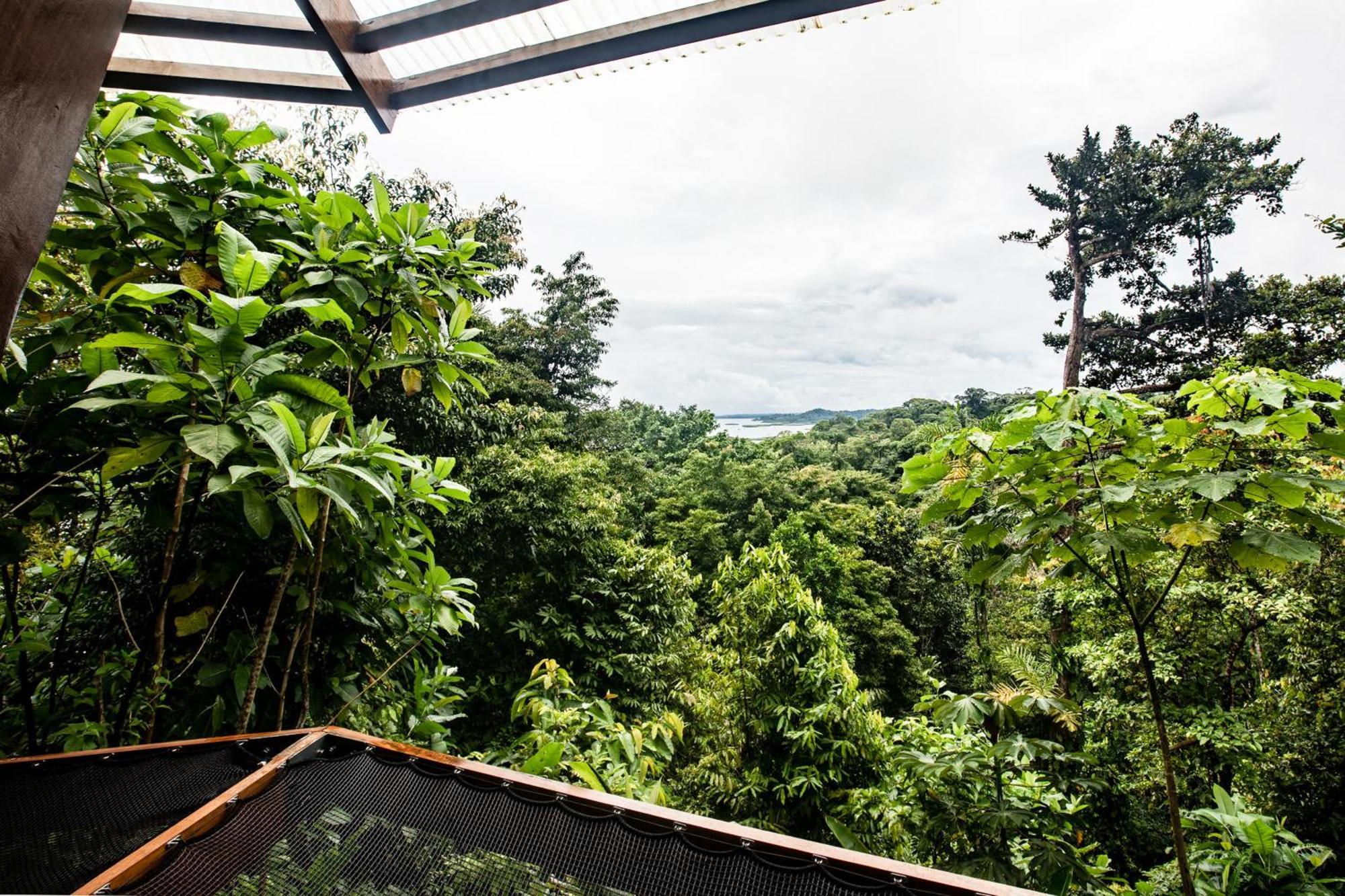 La Loma Jungle Lodge And Chocolate Farm Bocas Town Ngoại thất bức ảnh