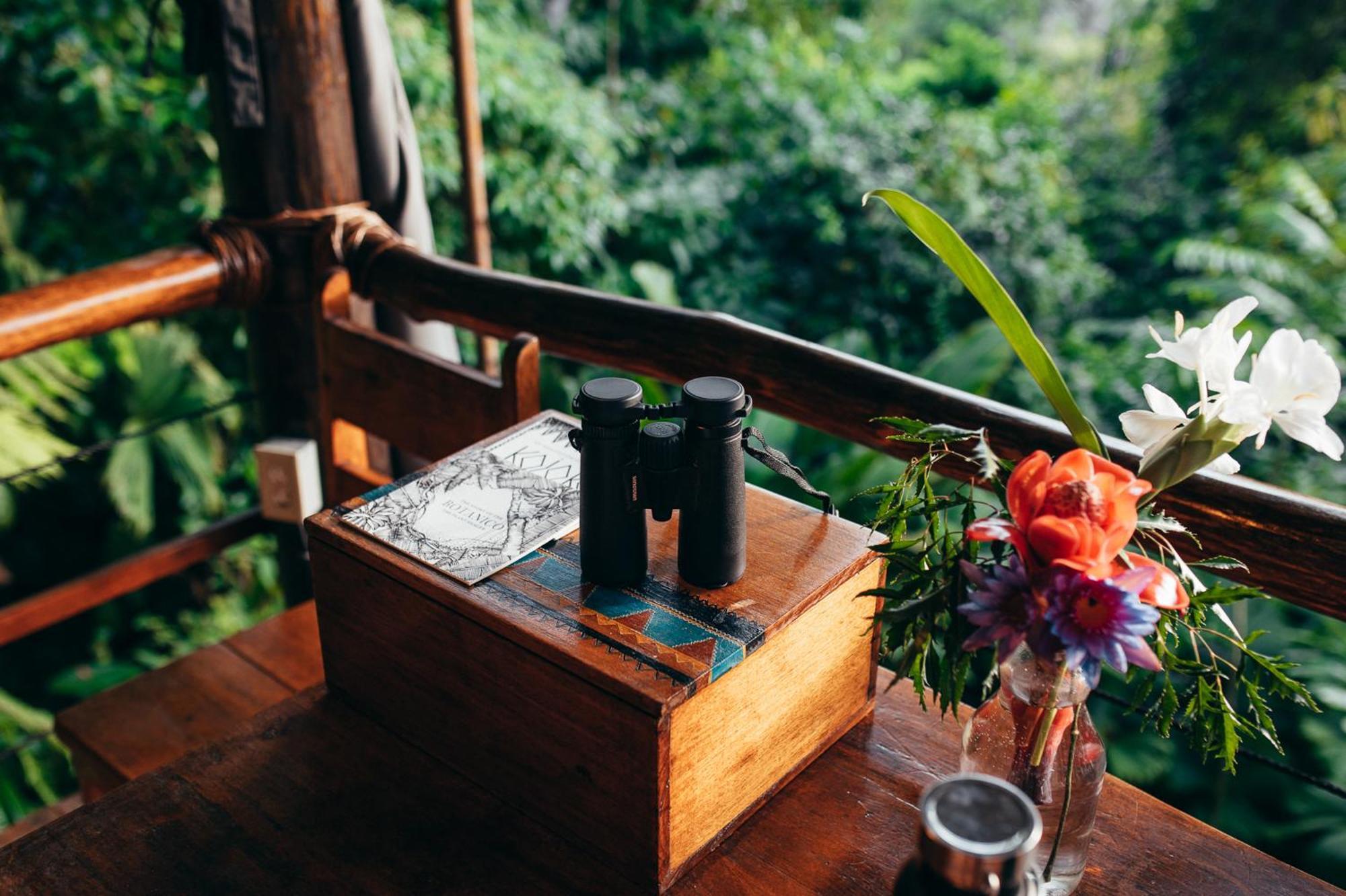La Loma Jungle Lodge And Chocolate Farm Bocas Town Ngoại thất bức ảnh