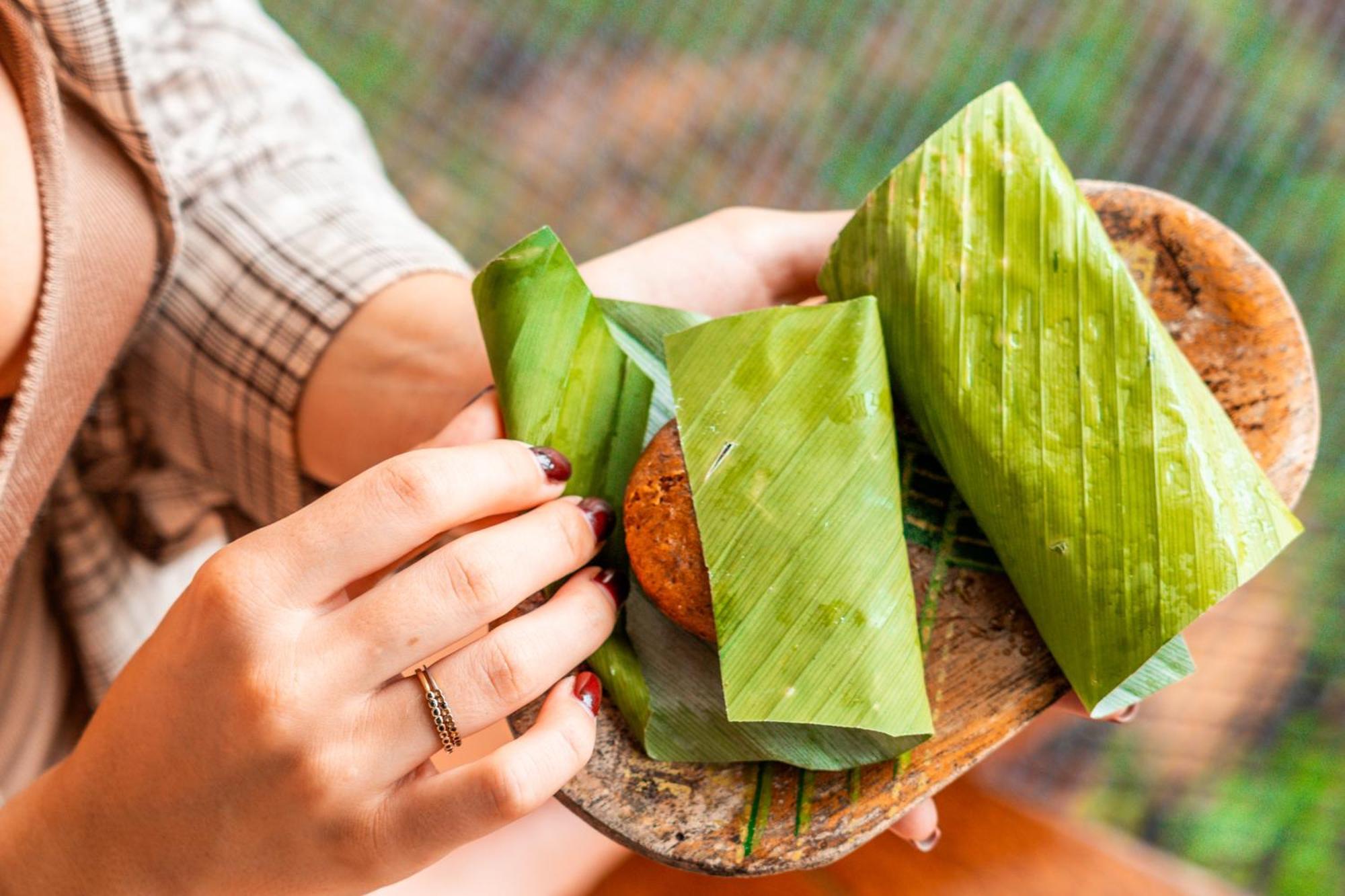 La Loma Jungle Lodge And Chocolate Farm Bocas Town Ngoại thất bức ảnh